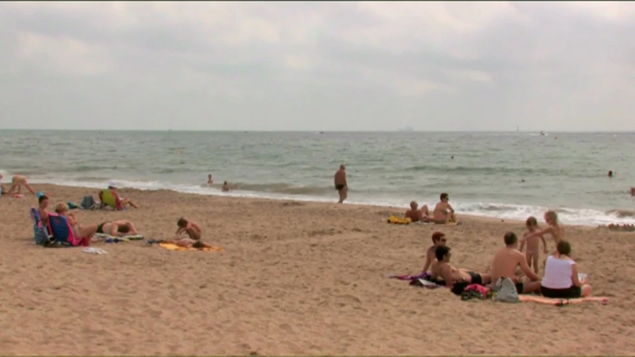 Harcelé à perdre la raison