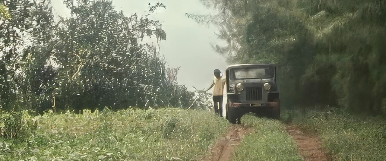 Taarapu Est - Tutaha Salmon