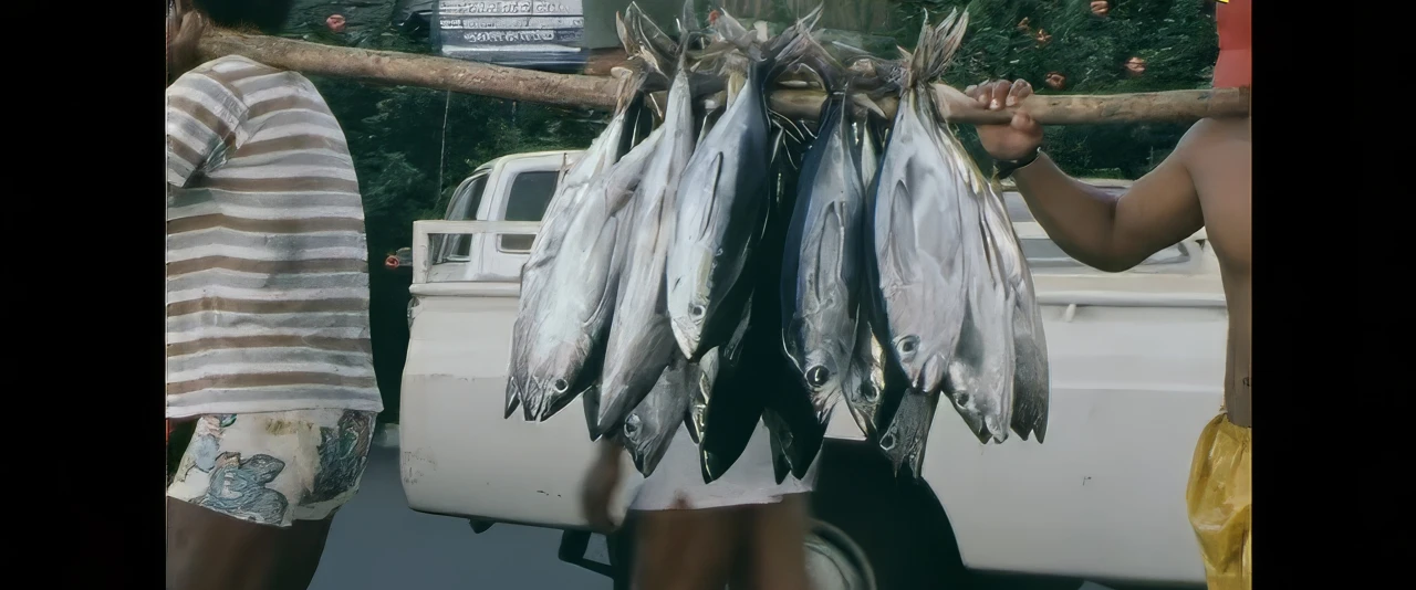 La pêche à la bonite (reo tahiti)