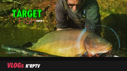 VLOG - TARGET Fish et Champignons - Partie 2