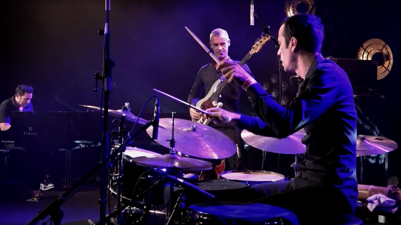 SUN, MONKEY, VOLTAGE