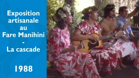 Exposition artisanale au Fare Manihini - La cascade