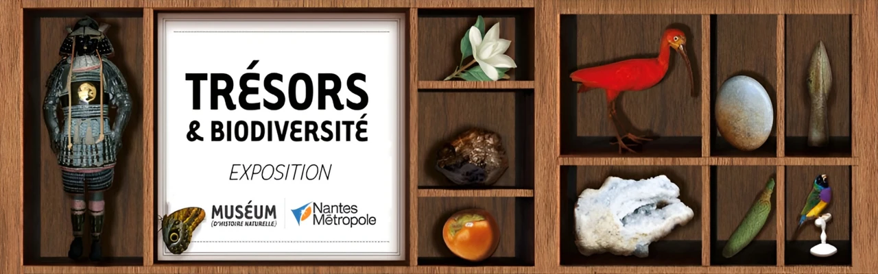 Trésors et Biodiversité