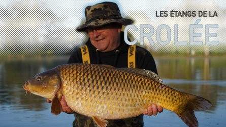 Les étangs de la Crolée - Eric DEBOUTROIS - Partie 2