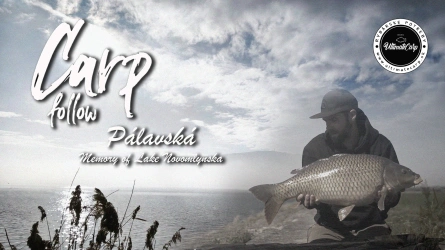 Carp Follow - Pálavská - Memory of Lake Novomlynska