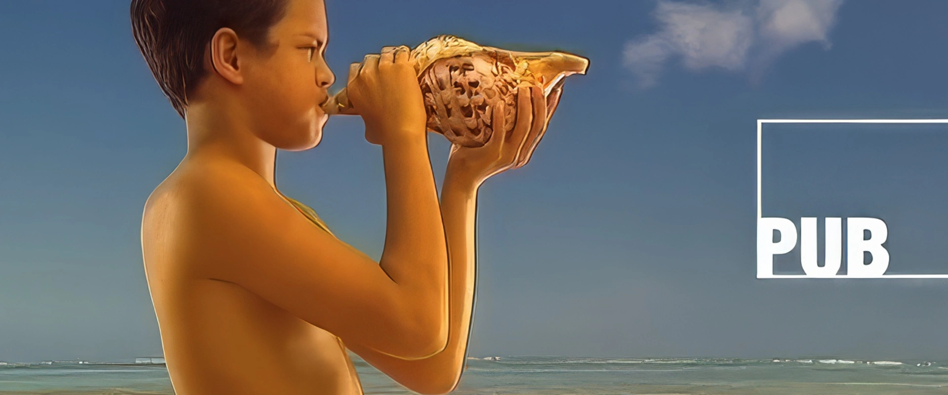 Premiers habillages des pages de publicités de TNTV