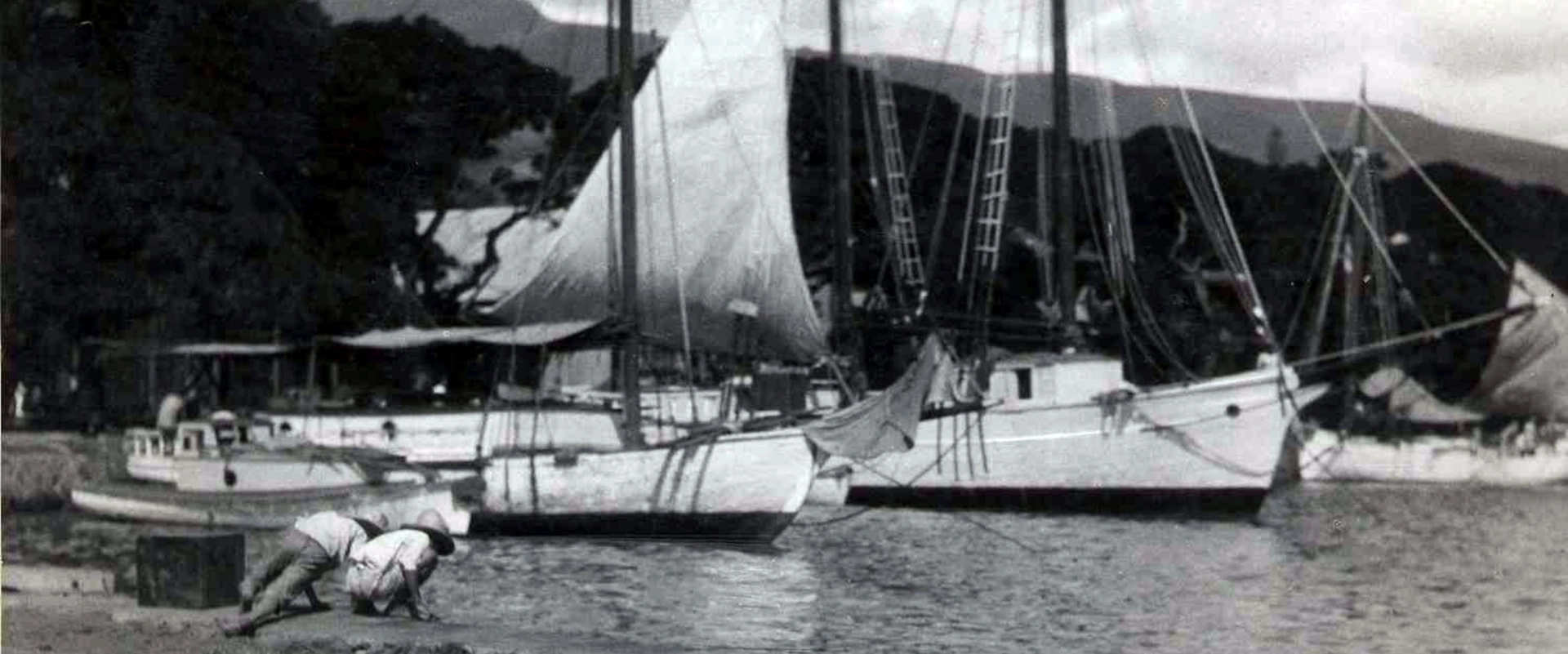 Roger Parry - Goélettes à voile