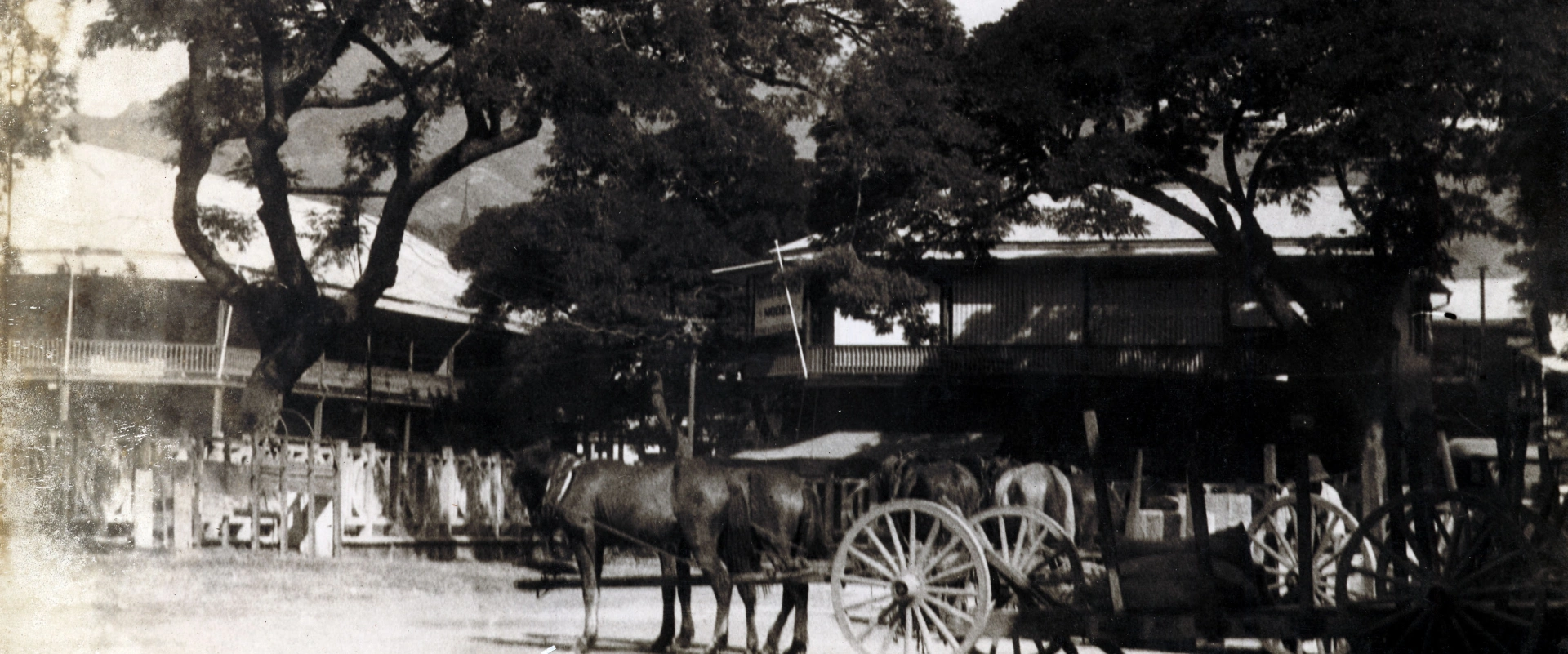 Roger Parry - Calèches et prolonges