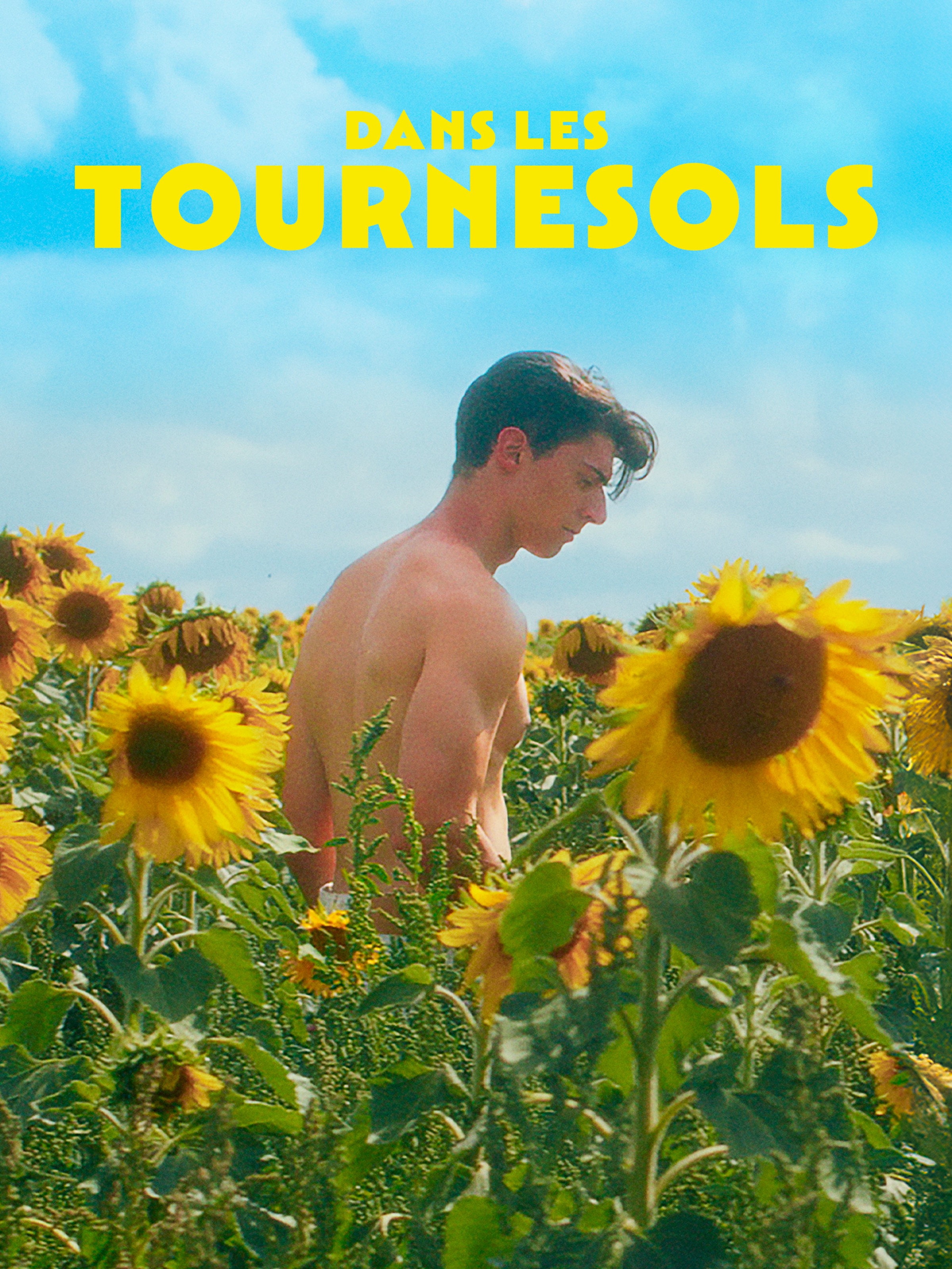 Dans les Tournesols