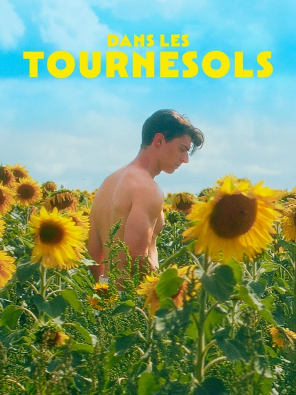Dans les Tournesols