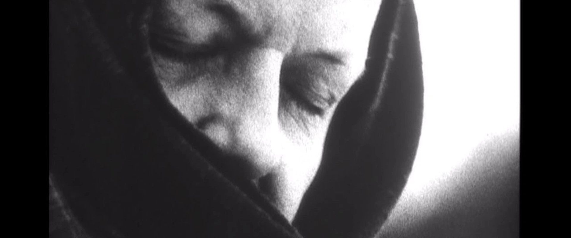 En släkting till älvorna