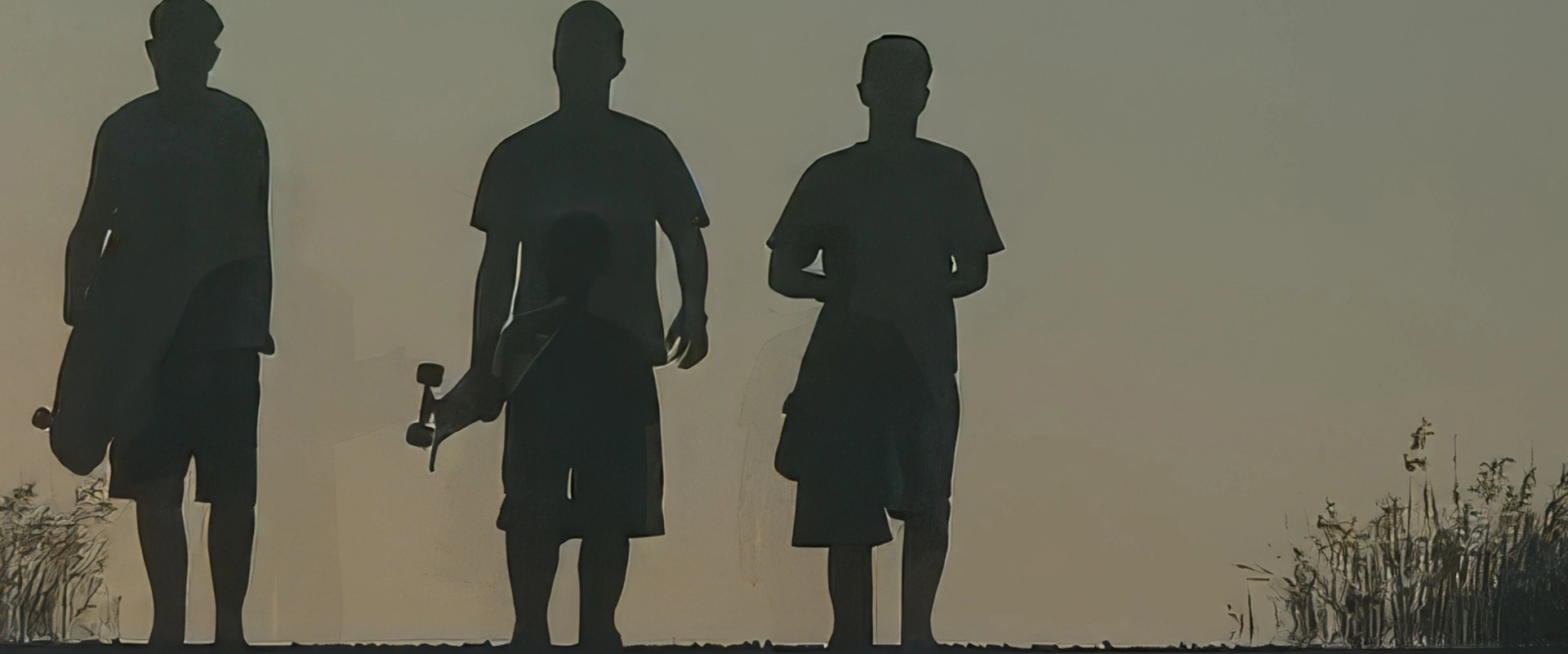 Skate longboard on TNTV