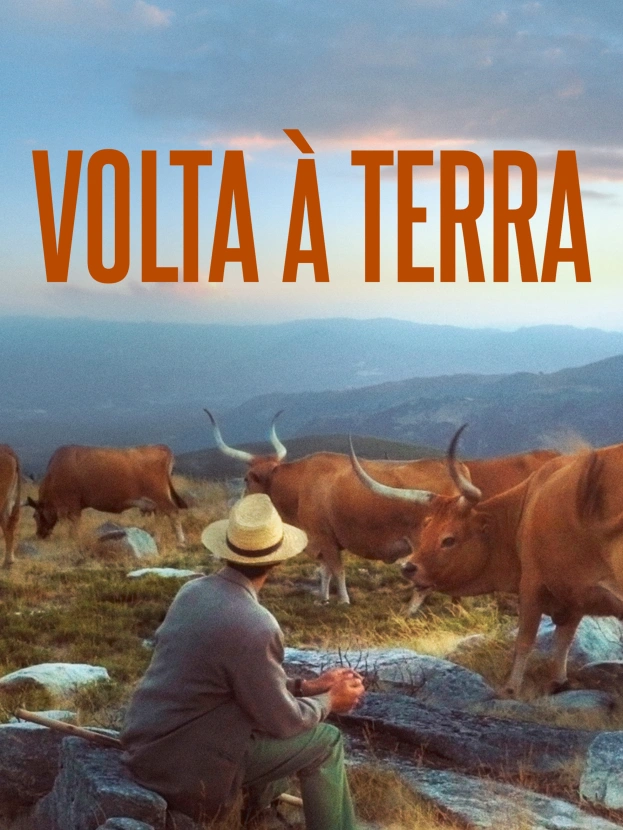 Volta À Terra
