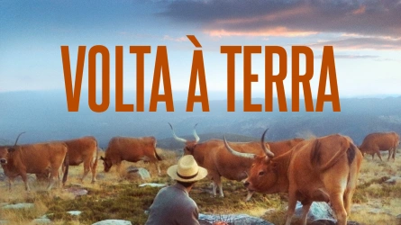 Volta À Terra