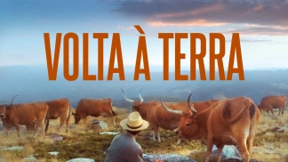 Volta À Terra