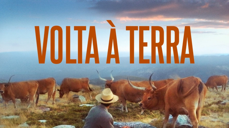 Volta À Terra