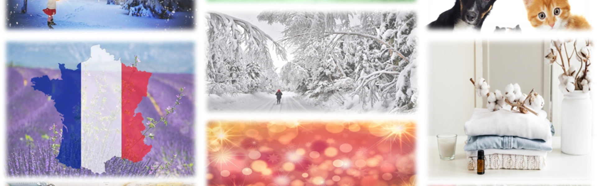 Quiz - Multi-Thèmes 5