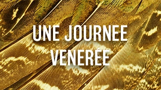 Une journée vénérée