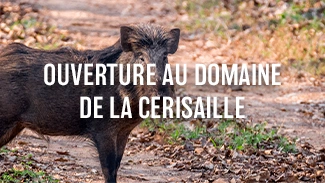 Ouverture au domaine de la Cerisaille