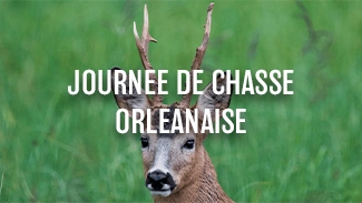 Journée de chasse Orléanaise