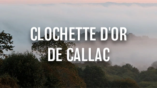 Clochette d'or de Callac