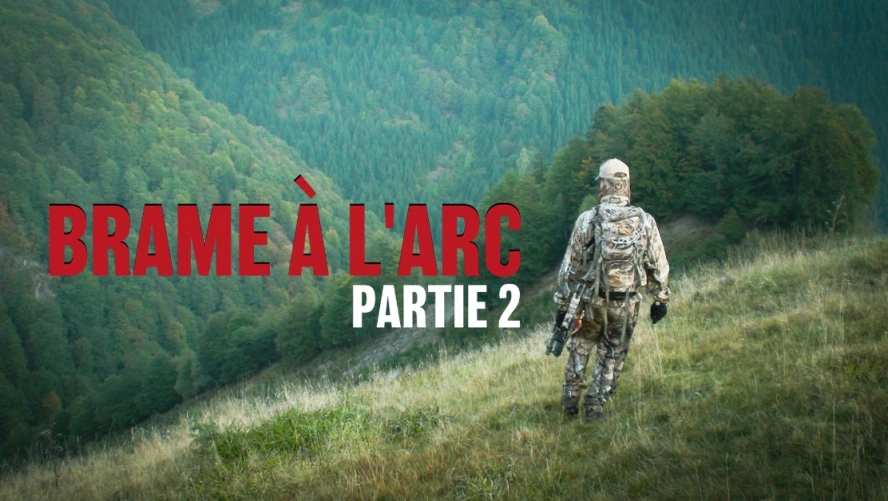 Brame à l’Arc (partie 2)