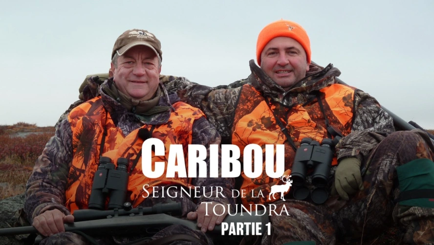 Caribou, seigneur de la toundra (partie1)