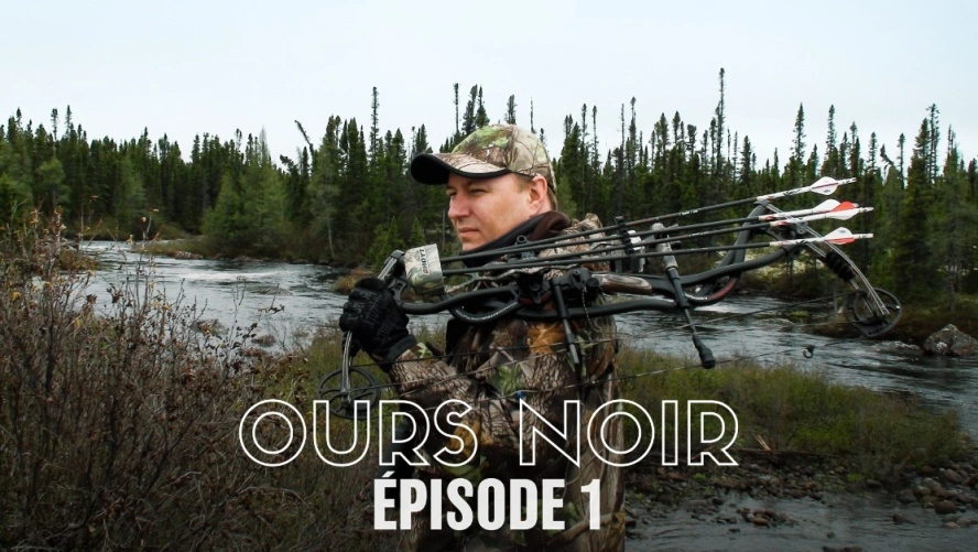Ours Noir (épisode 1)