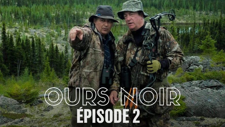 Ours Noir (épisode 2)