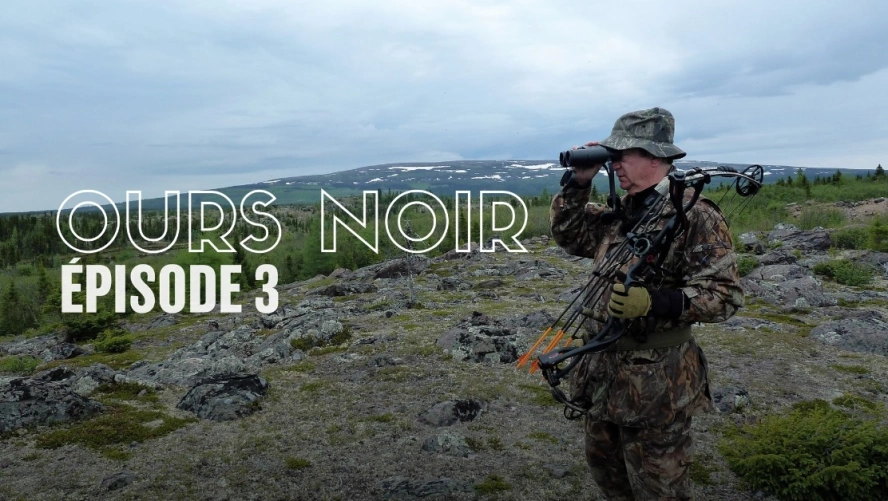 Ours Noir (épisode 3)