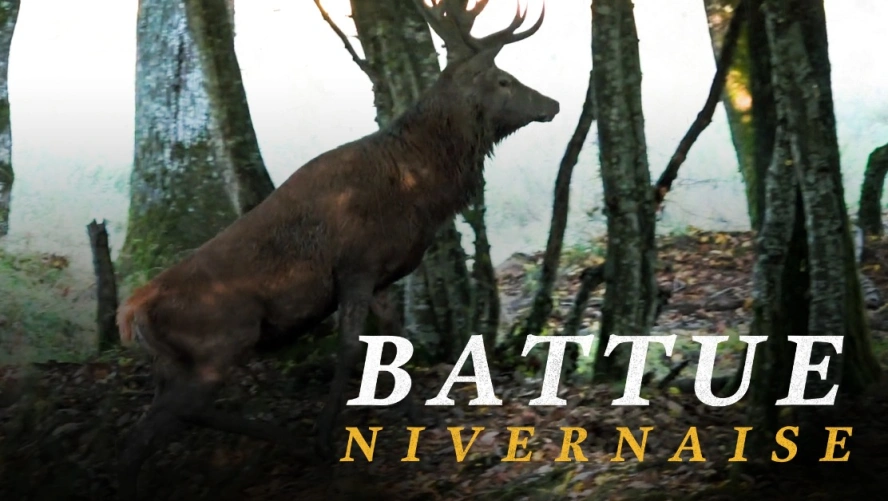 Battue Nivernaise