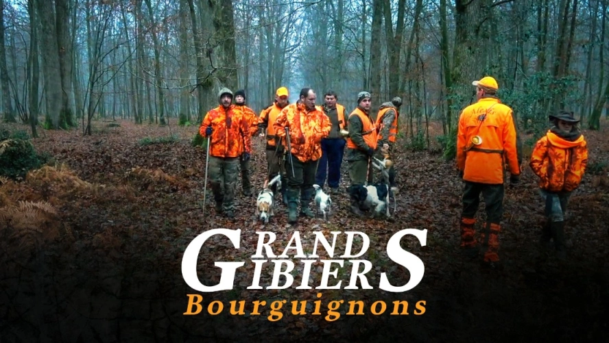 Grands Gibiers Bourguignons