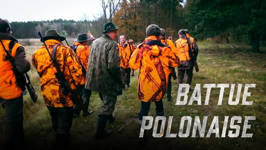 Battue Polonaise