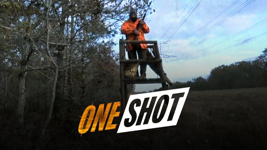 One shot