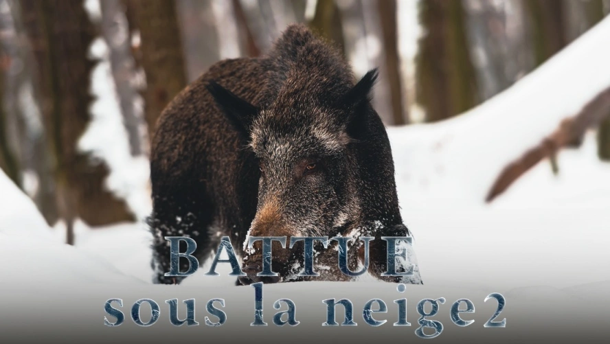 Battue sous la Neige (partie 2)