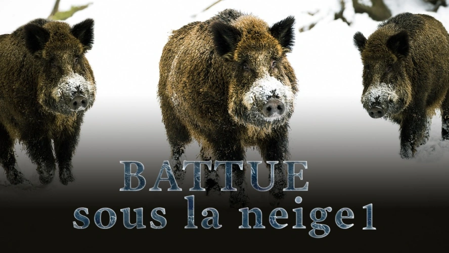 Battue sous la Neige (partie 1)