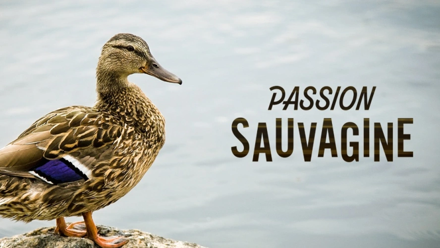 Passion sauvagine