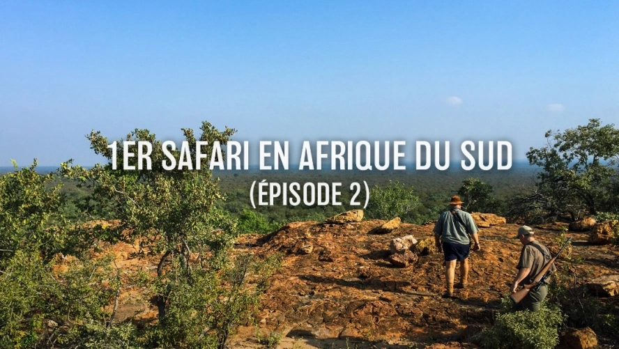 Premier safari en Afrique du Sud (épisode 2)