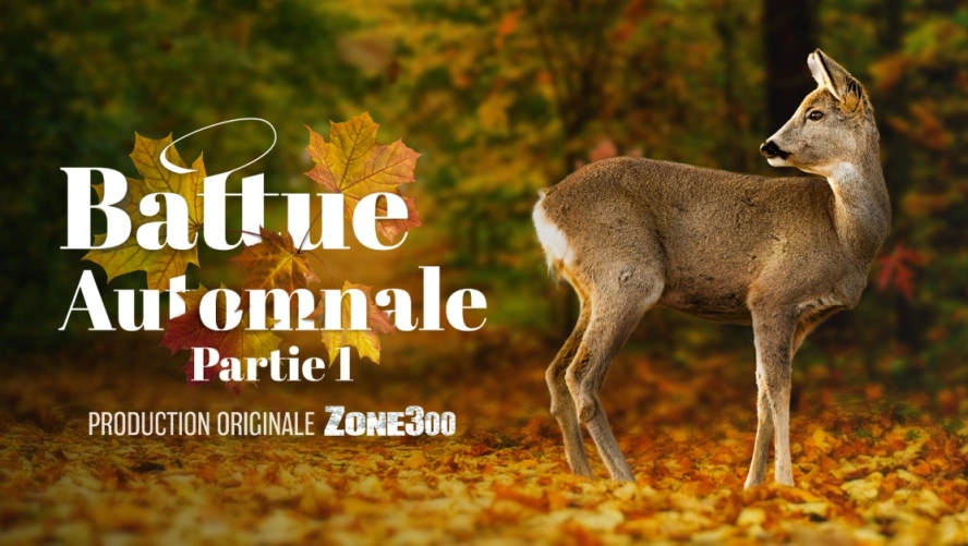 Battue automnale : partie 1