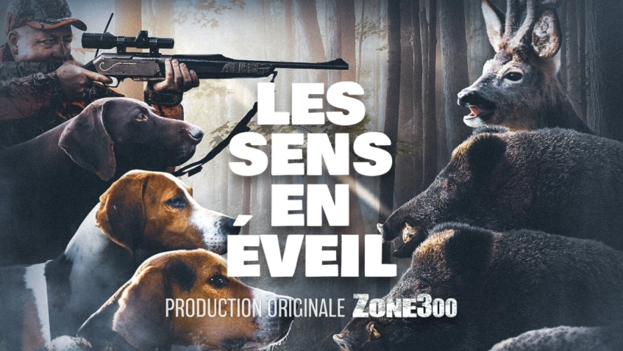 Les sens en éveil