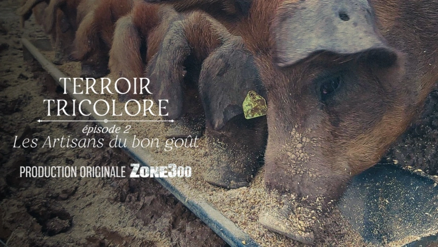 Terroir Tricolore : Les artisans du bon goût (épisode 2)