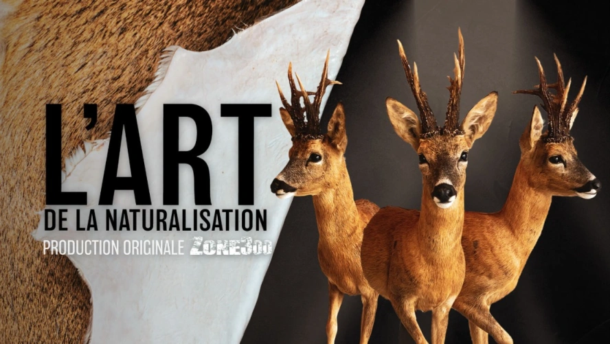 L'art de la naturalisation