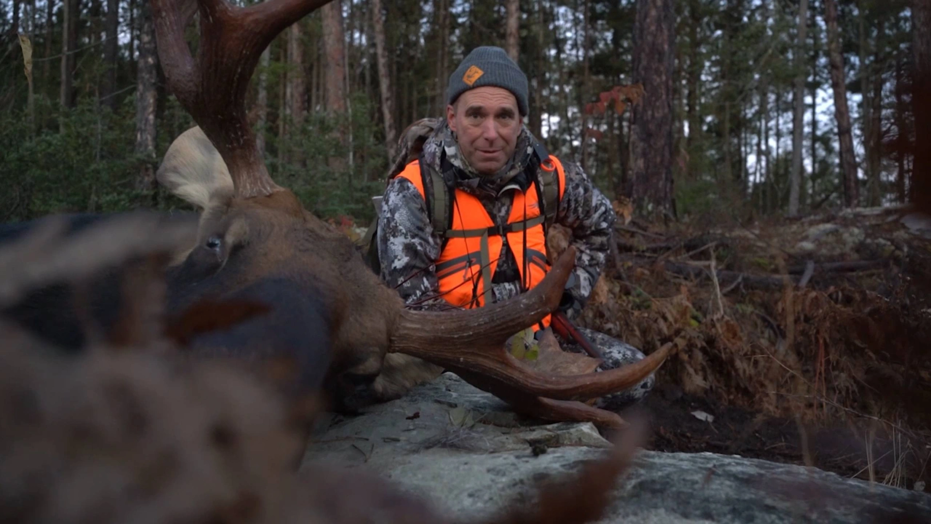 Coureurs de bois : Le Roi de la Forêt Boréale