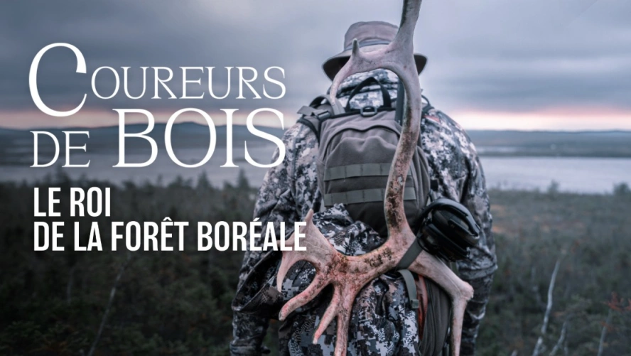Coureurs de bois : Le Roi de la Forêt Boréale