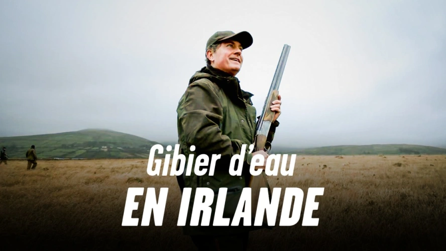 Gibier d'eau en Irlande