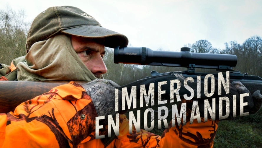Immersion en Normandie