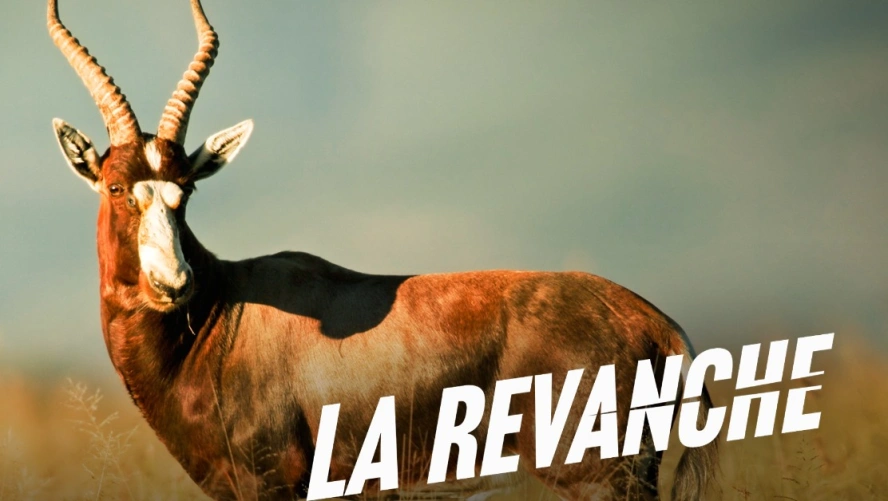 La Revanche