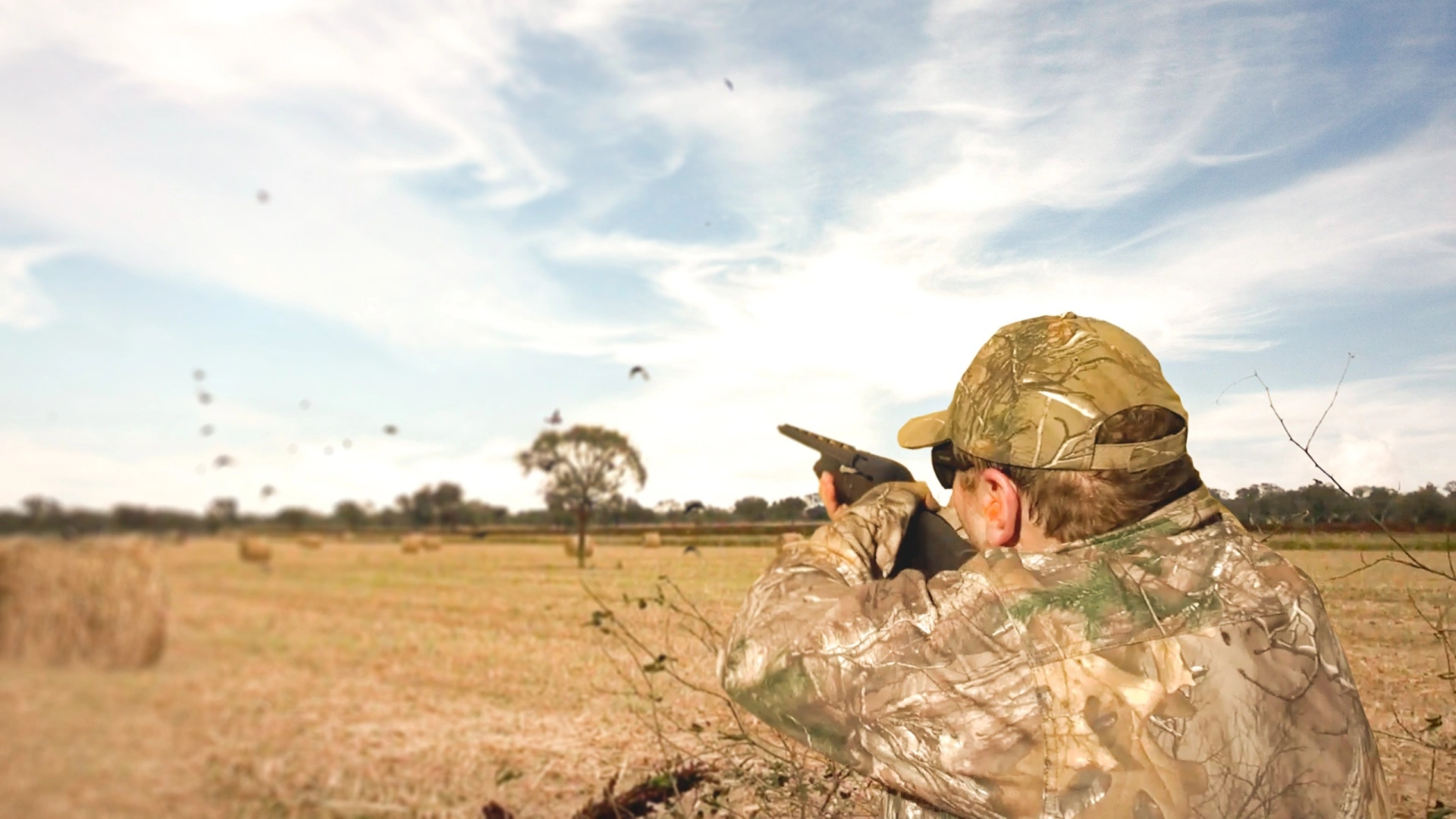 Compilation Pigeons en Argentine (épisode 1)