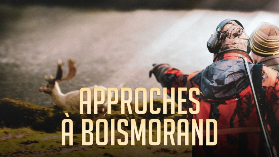 Approches à Boismorand