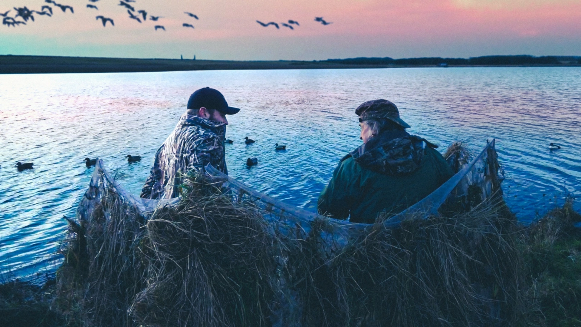 Migrateurs en Ecosse (épisode 2)